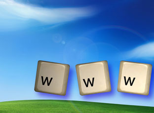 www - world wide web consulting